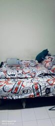 Blk 247 Tampines Street 21 (Tampines), HDB 4 Rooms #458043641